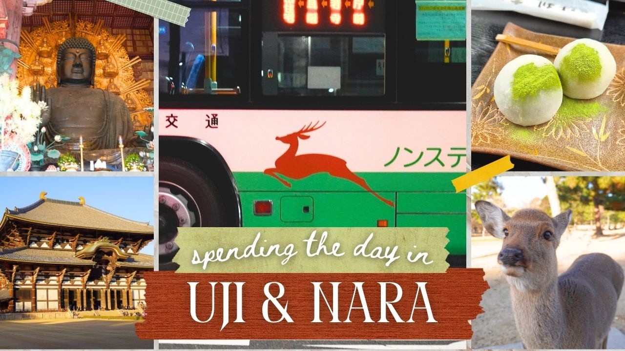 Drinking matcha and getting attacked by deer in Uji & Nara | Japan Vlog 🍵🦌
