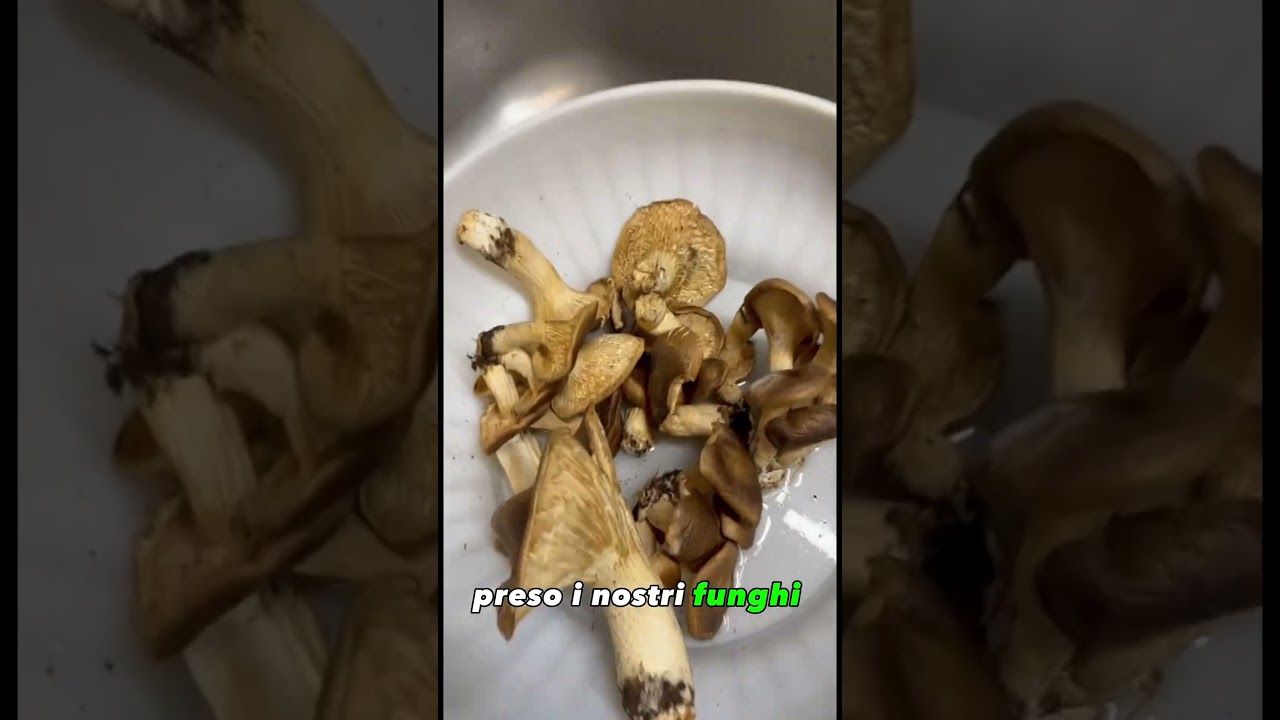 Dal micelio alla padella | Il viaggio del fungo cardoncello