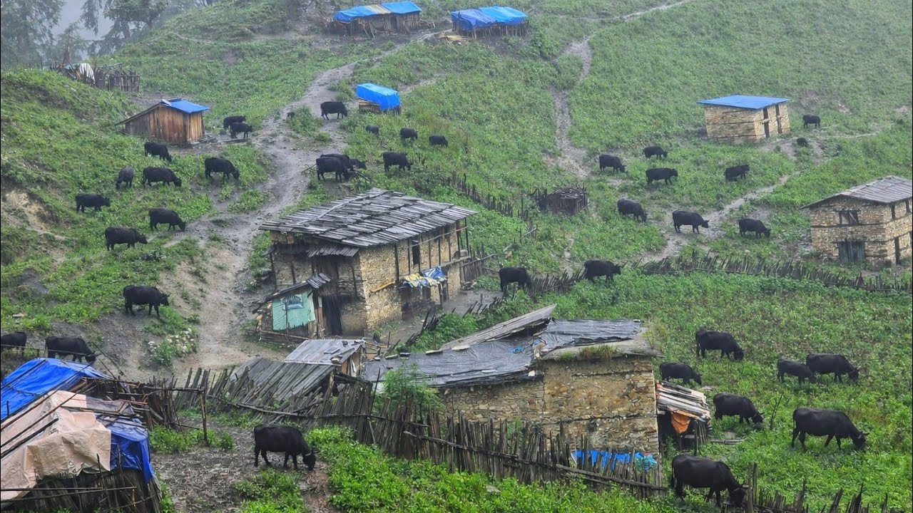 The Naturally Beautiful Rural Village Life During the Rain | All Season Compilation Video In Nepal