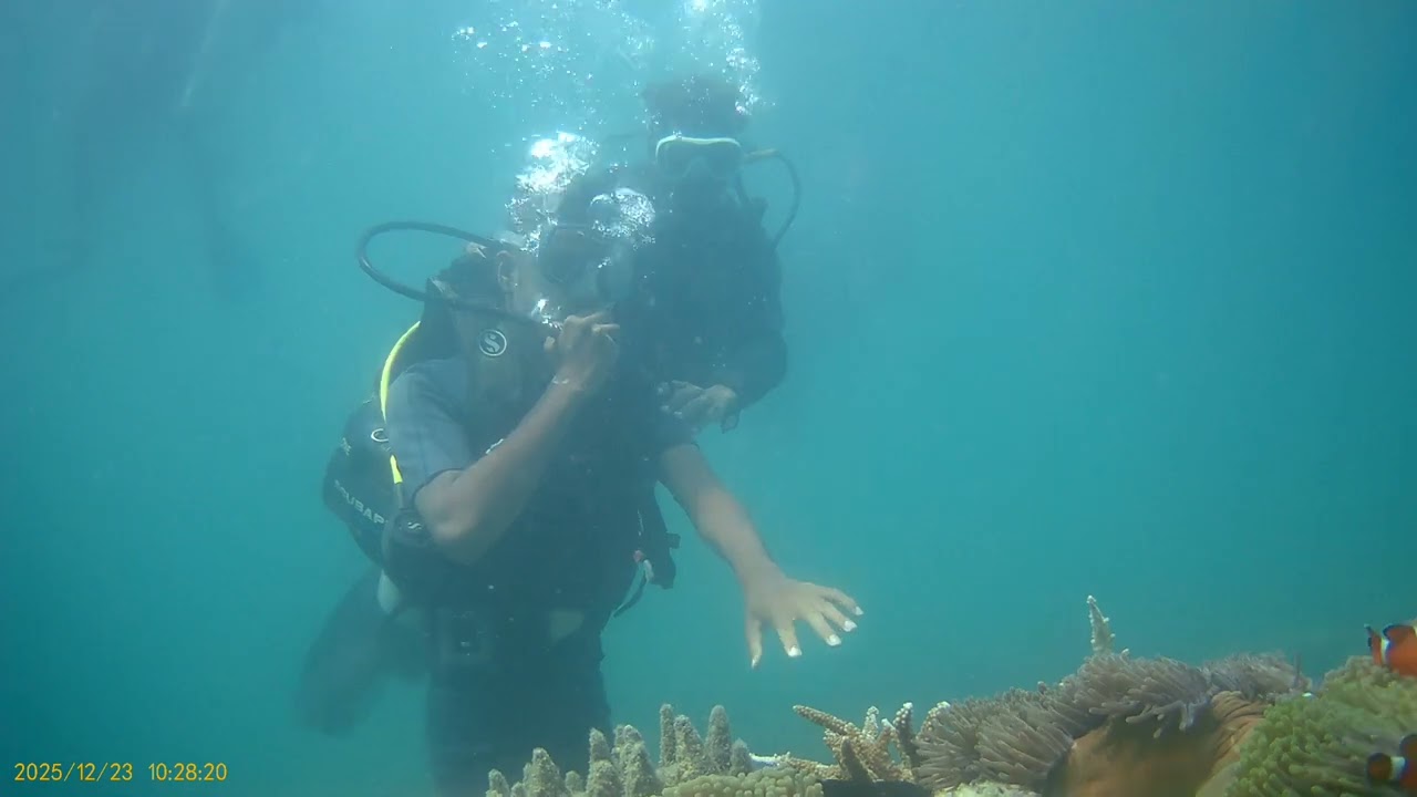 Scuba diving in Havelock Island