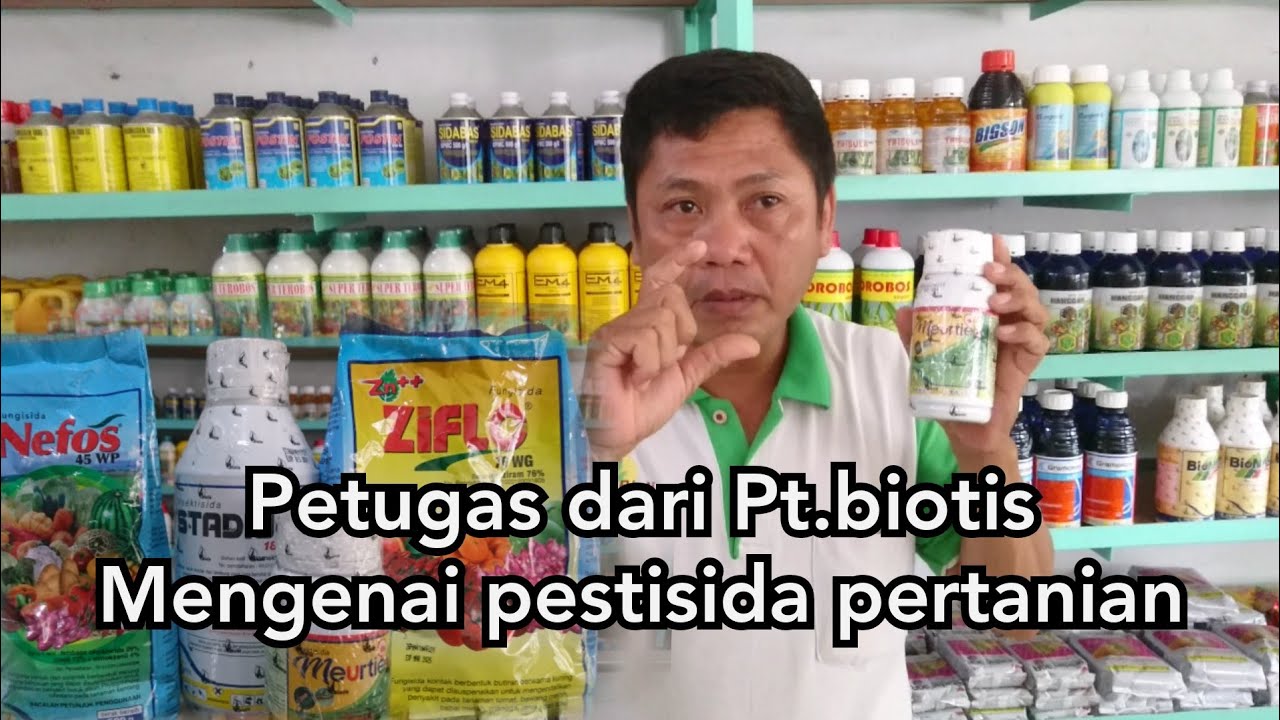 Penjelasan insektisida meurtier dari pt. Biotis agrindo