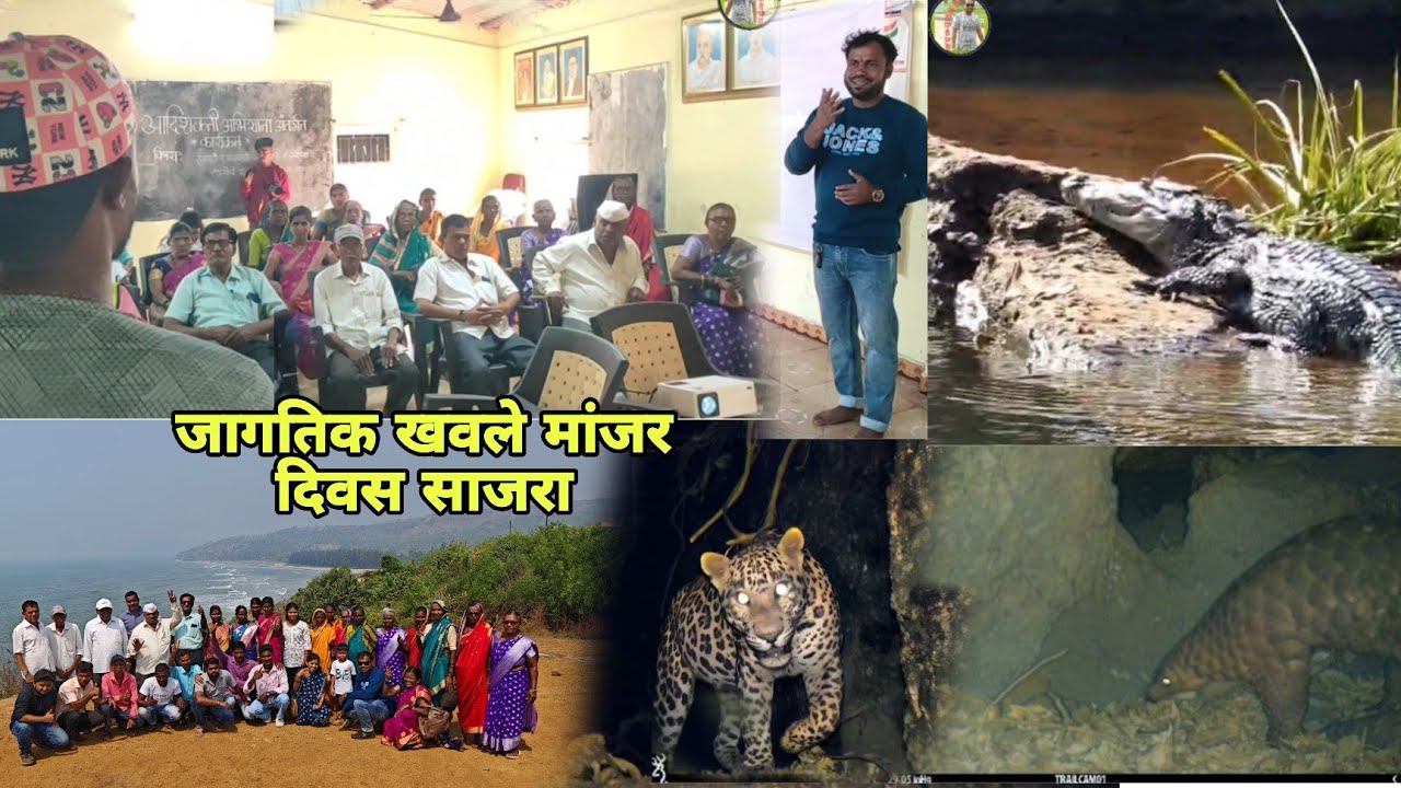 खवले मांजरांच्या संरक्षणाबाबत जनजागृती  पर्यावरण जपण्याचा संदेश देण्यात आला #AERF kokancha Vaibhav |