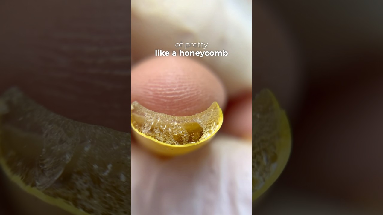 Не ожидала найти это под ее ногтями 🐝 #nailcou