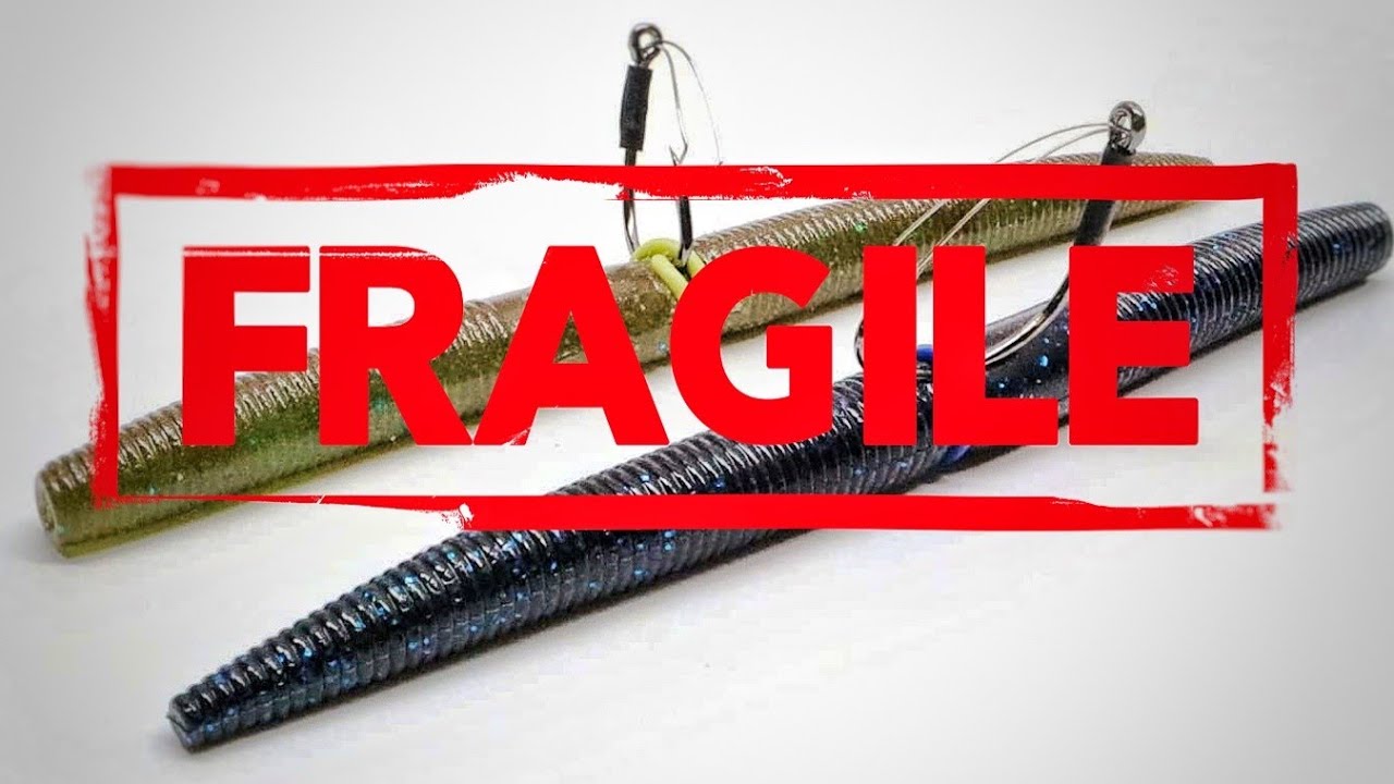 Avoid These Common Senko Fishing Mistakes At All Costs