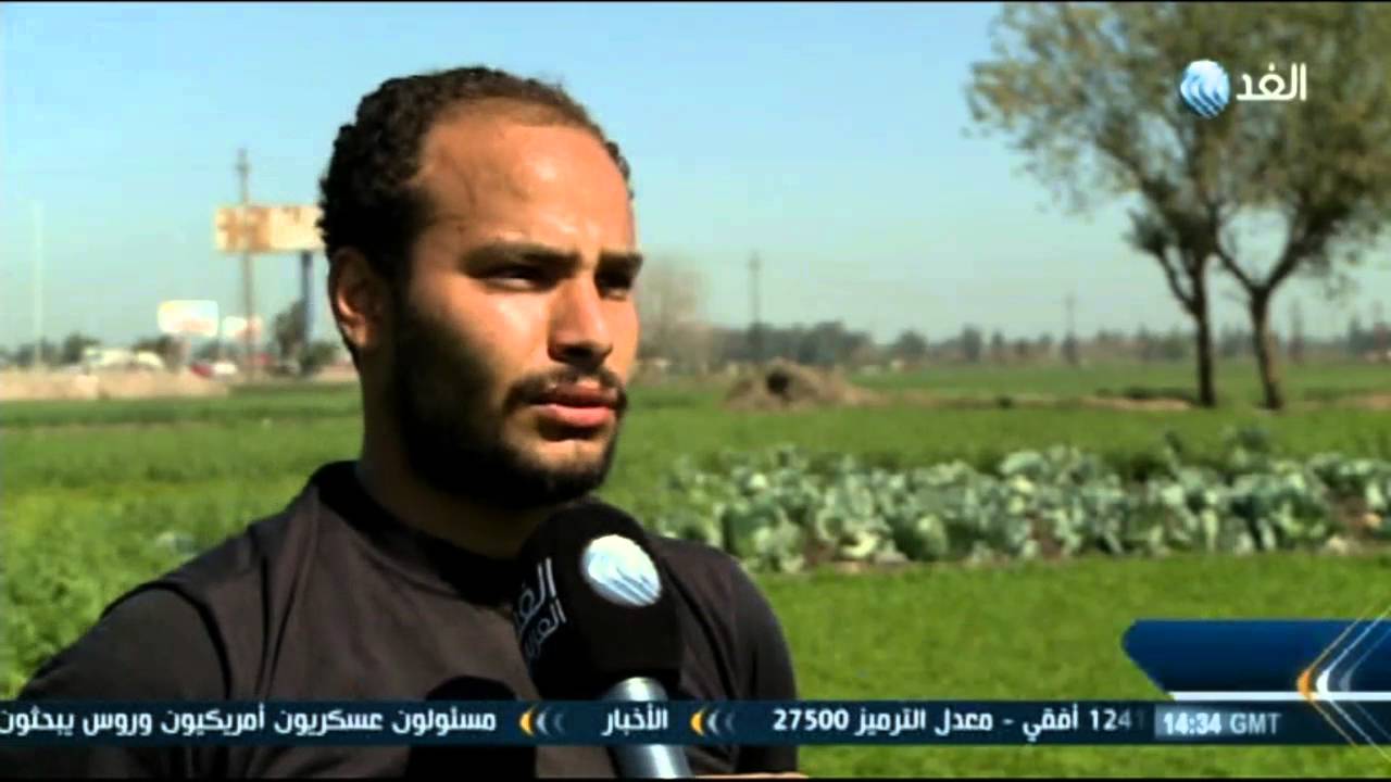 التعديات على الأراضي الزراعية في مصر تلتهم 60 ألف فدان