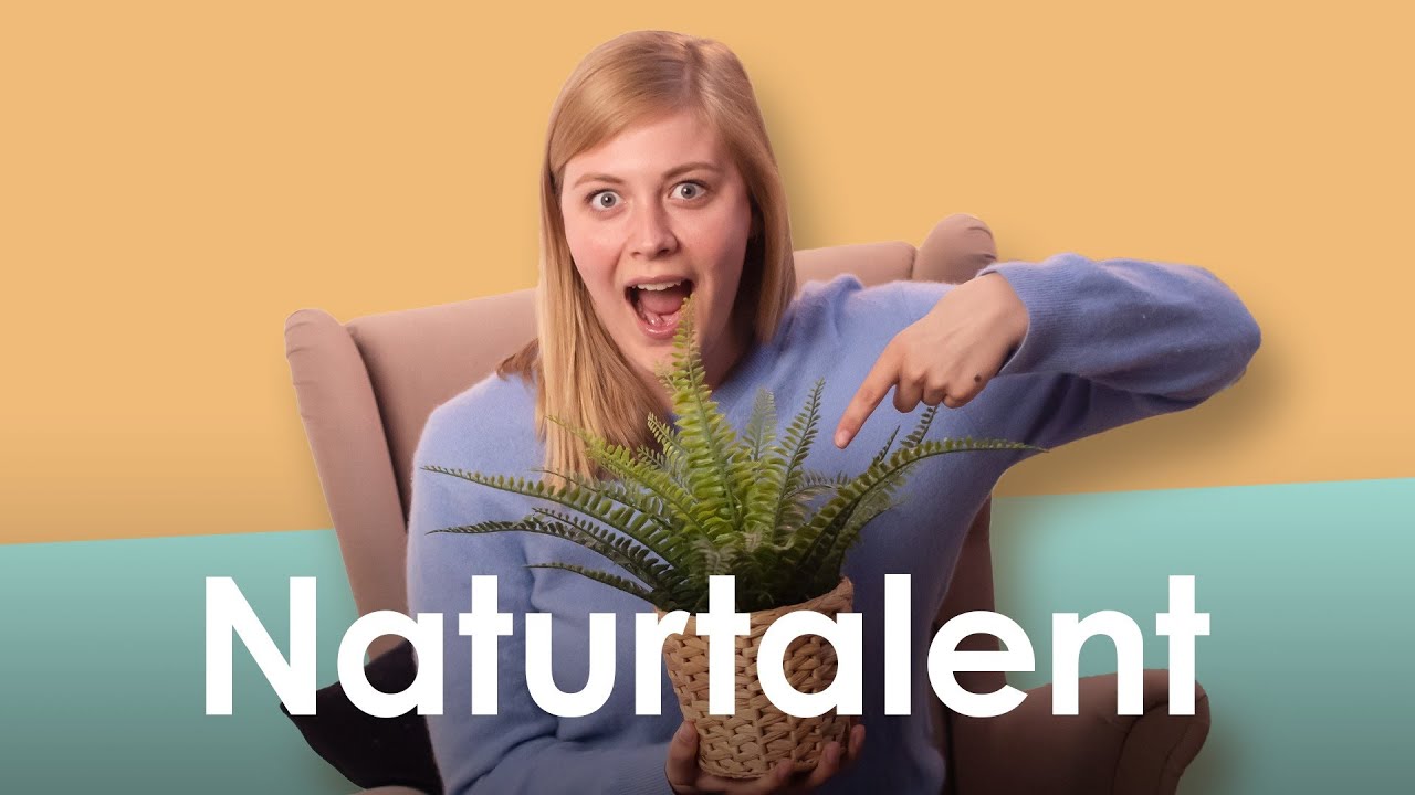 Die Power der Natur – wissenschaftlich erklärt | psychologeek