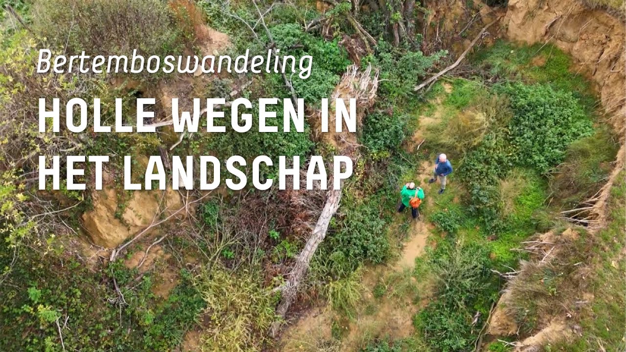 Holle wegen in het landschap - Bertemboswandeling