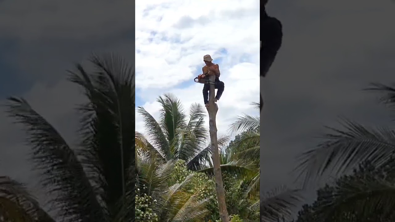 C&uacute; ng&atilde; chấn động #vuakhimientay #short #viralvideo