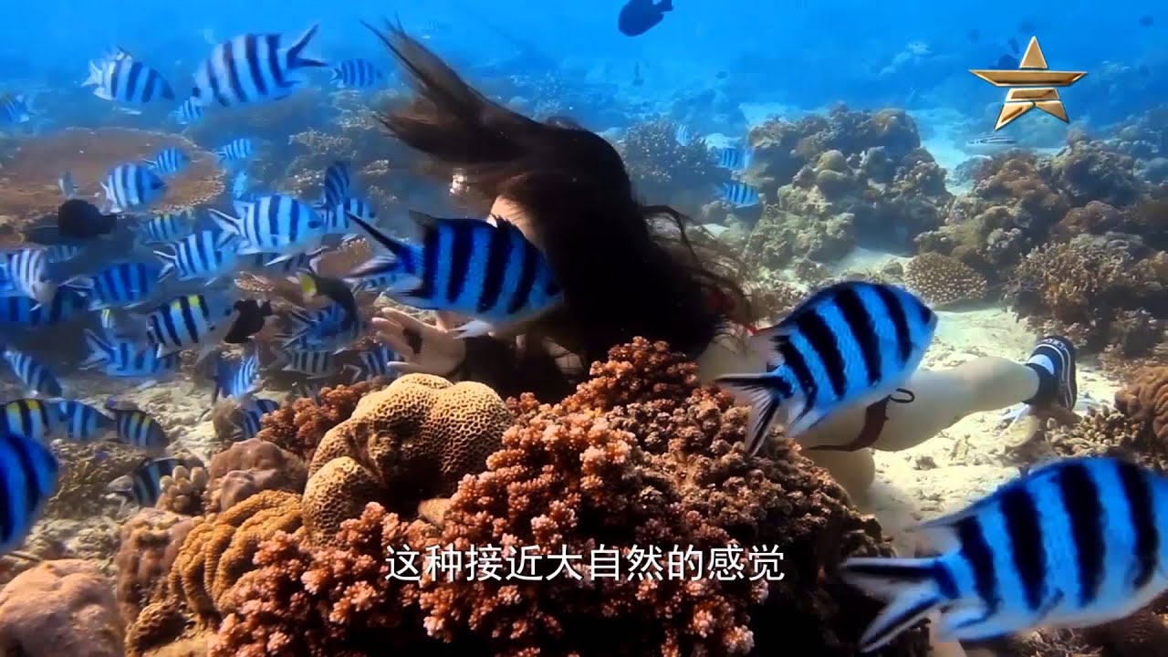 【蓝海尤物】火辣嫩模 水底拍摄无经验 惹怒摄影师