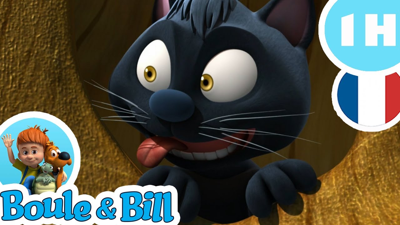 🐈‍⬛Boule, Bill et Caporal🐈‍⬛ - Nouvelle Compilation FR