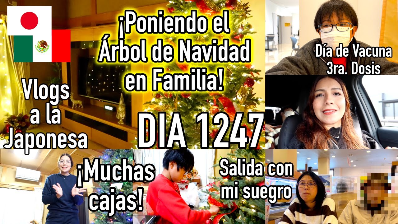 Llegó la NAVIDAD a JAPÓN🎄 + Decorando la Casa en Familia JAPÓN - Ruthi San ♡ 26-11-22