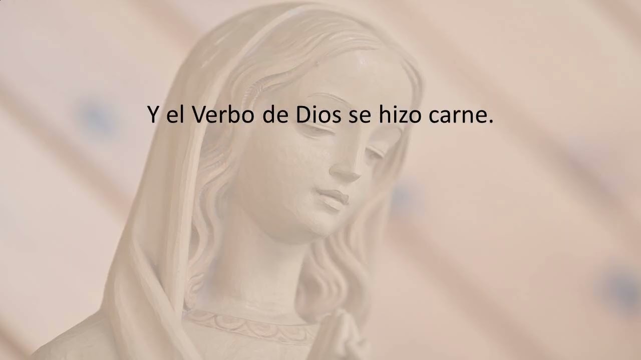 Ángelus Martes 20 de enero 2026
