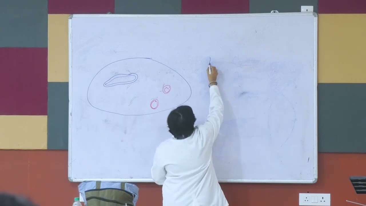 Lecture On Bacterial Genetics: Gene Transfer,Transduction,Lysogenic Conversion,and Conjugation| MBBS