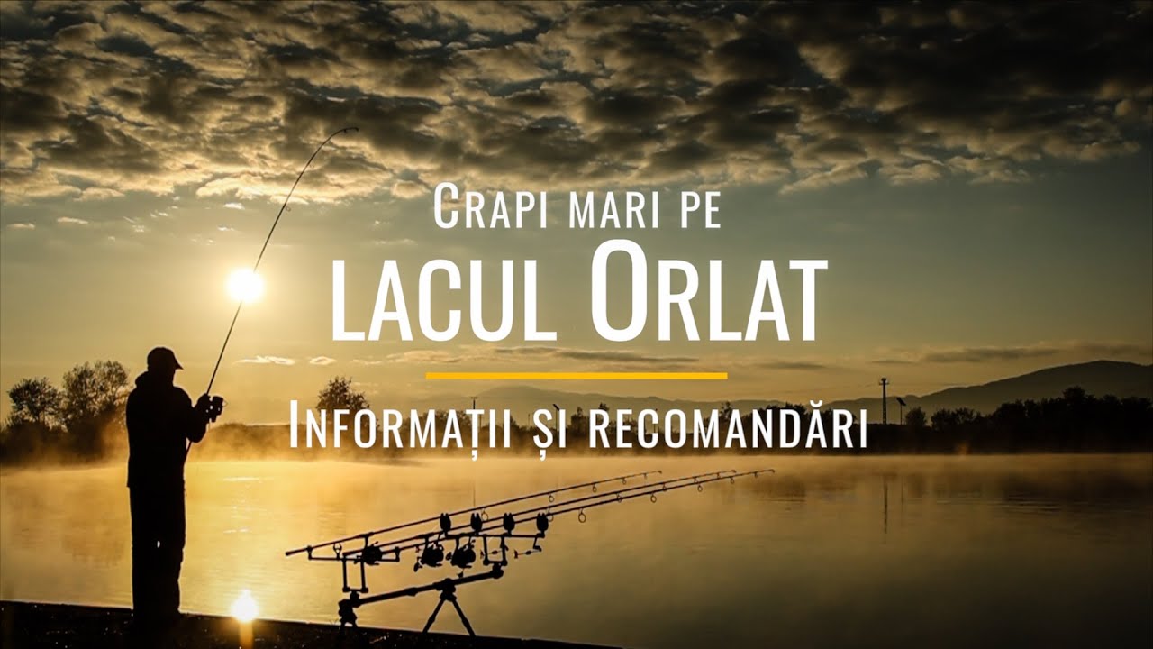 Crapi mari pe lacul Orlat - informații și recomandări