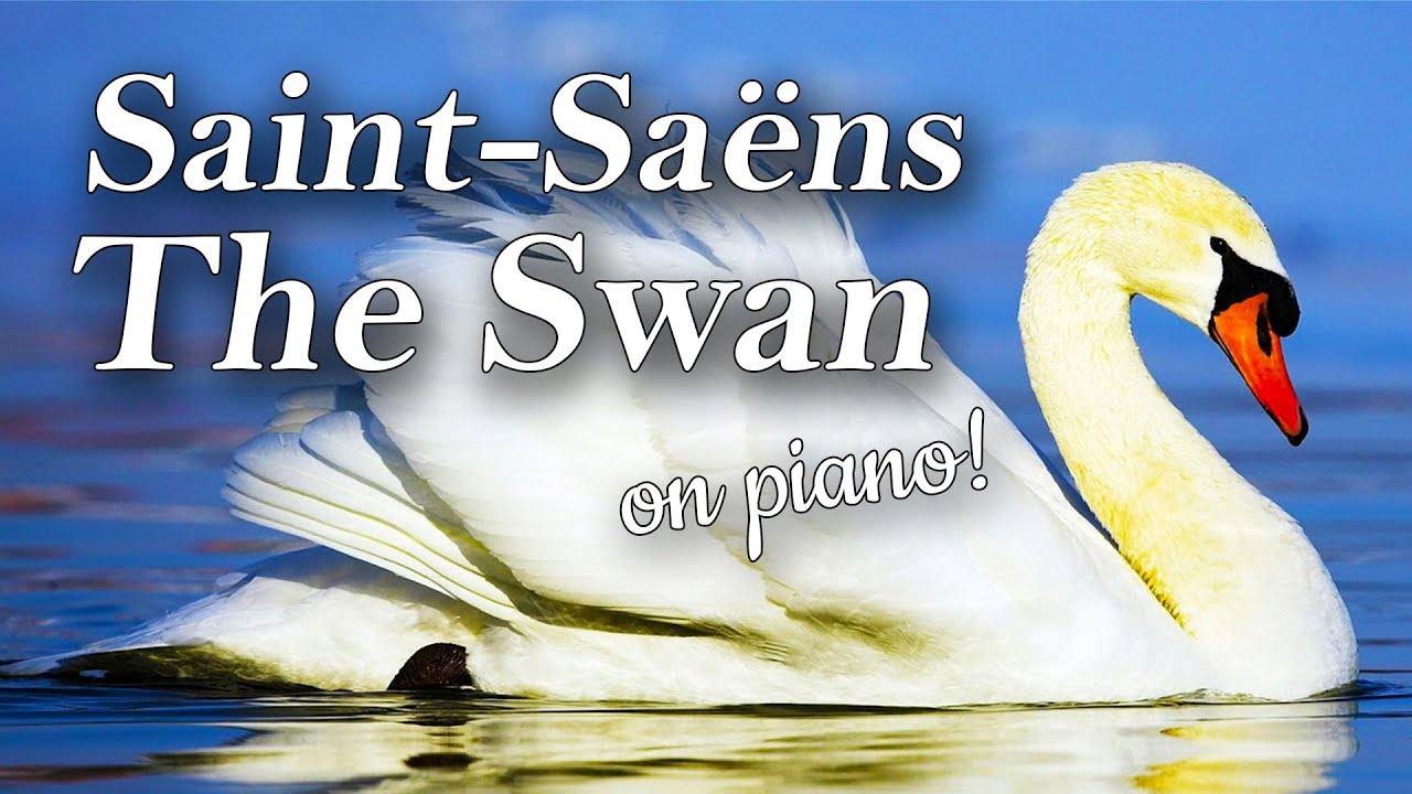 The Swan (Le Cygne) by Saint-Saëns - Piano Tutorial (Beautiful Piano Music)