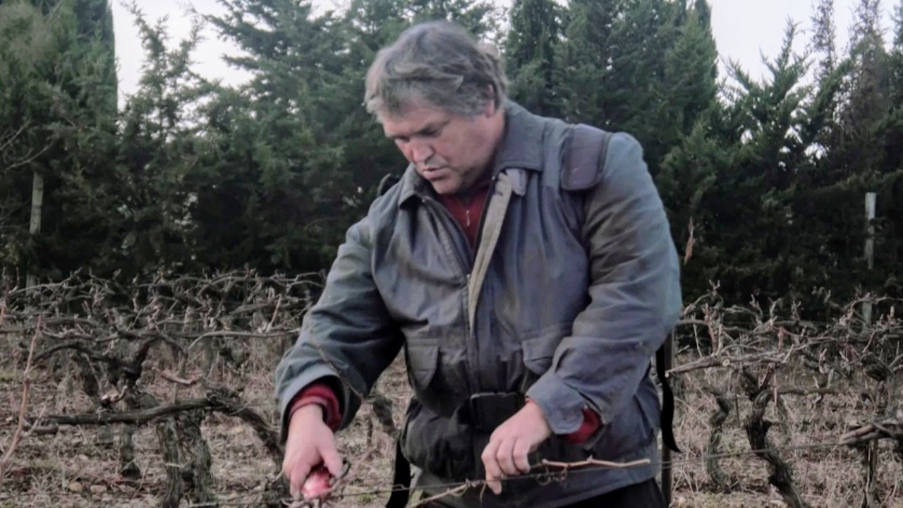 1976, la guerre du vin : quand les viticulteurs ont fait parler la poudre