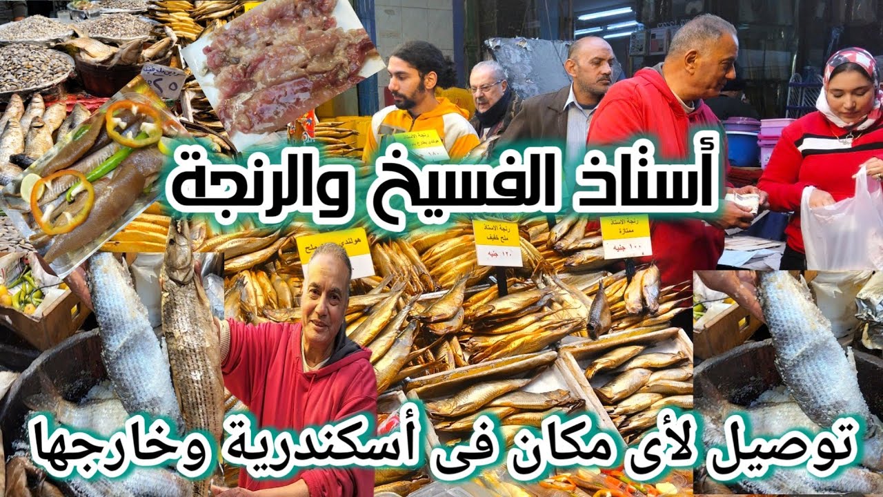 معقول العروض دى عند أستاذ الفسيخ والرنجة أرخص فسخانى فى اسكندرية