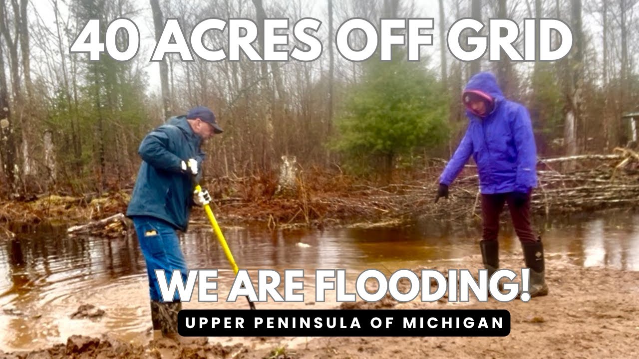 40 ACRES OFF GRID | WATER IS RISING | UPPER PENINSULA OF MICHIGAN #upperpeninsulaofmichigan