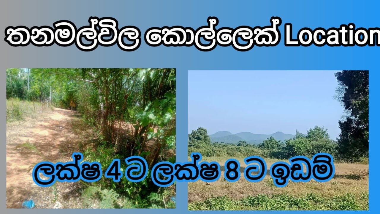 #thissamaharama ,#thanamalwila #aduwata #idam