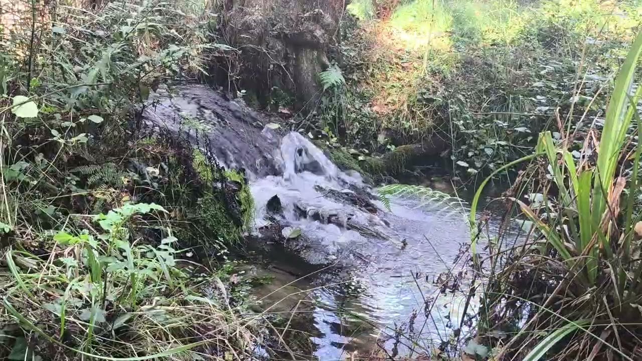 SONIDO DE AGUA PARA DORMIR