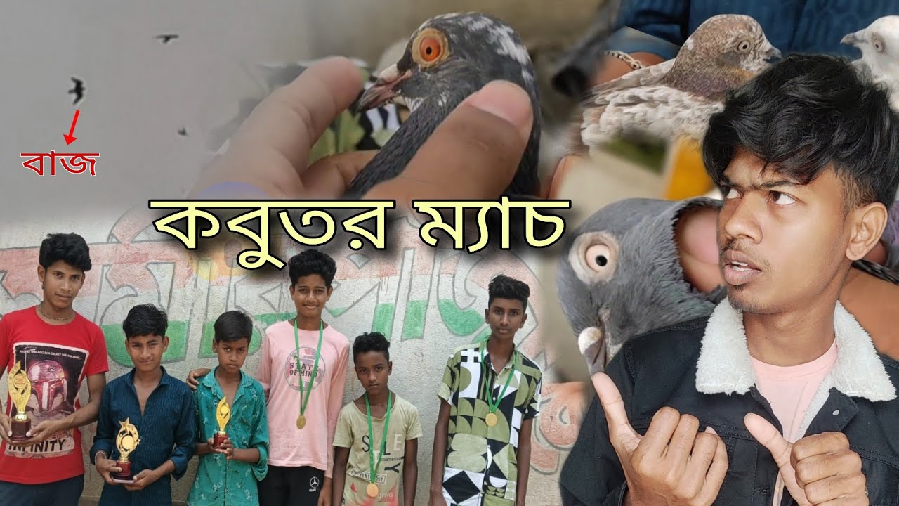 কবুতর ম্যাচ || kabutar match 🕊️🏆