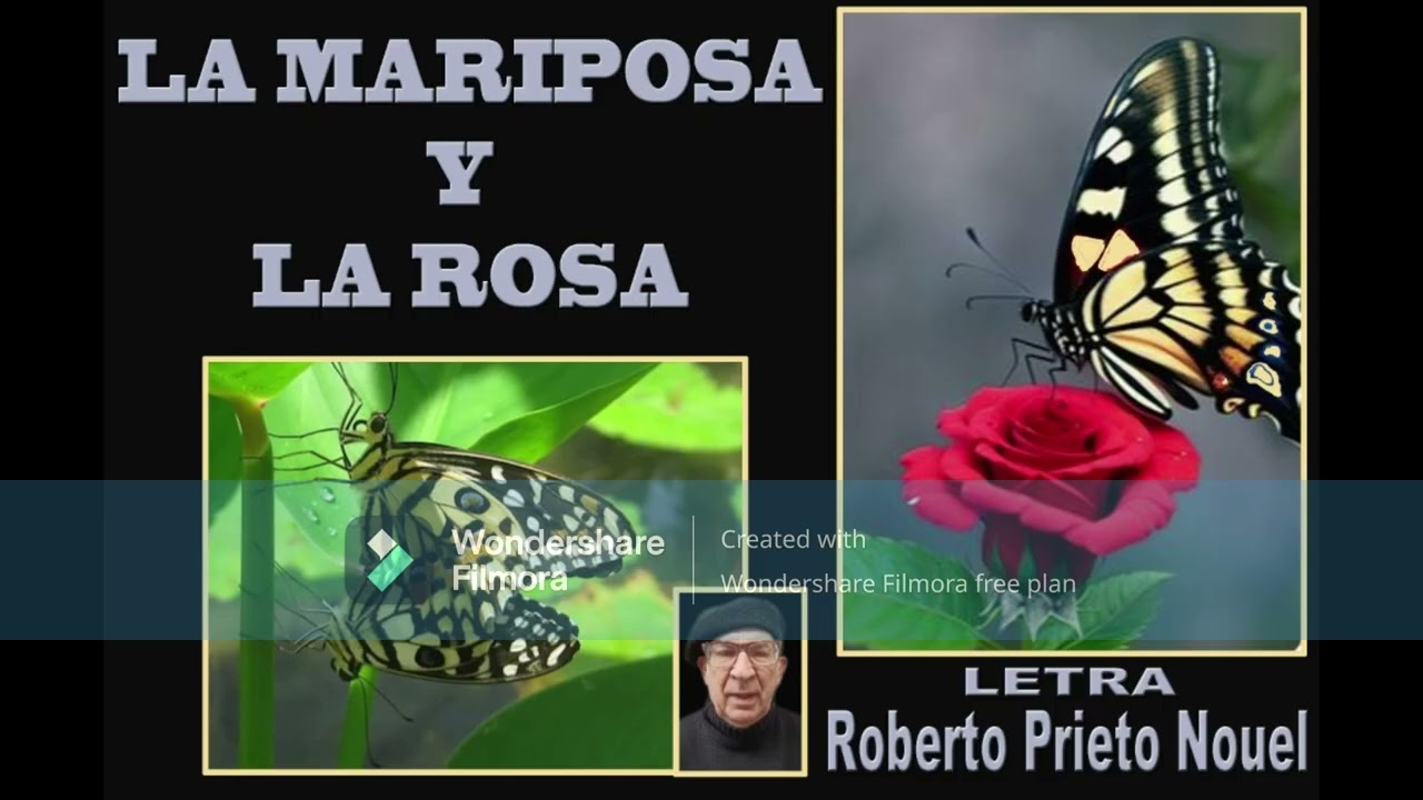 LA MARIPOSA Y LA ROSA, LETRA DE ROBERTO PRIETO NOUEL