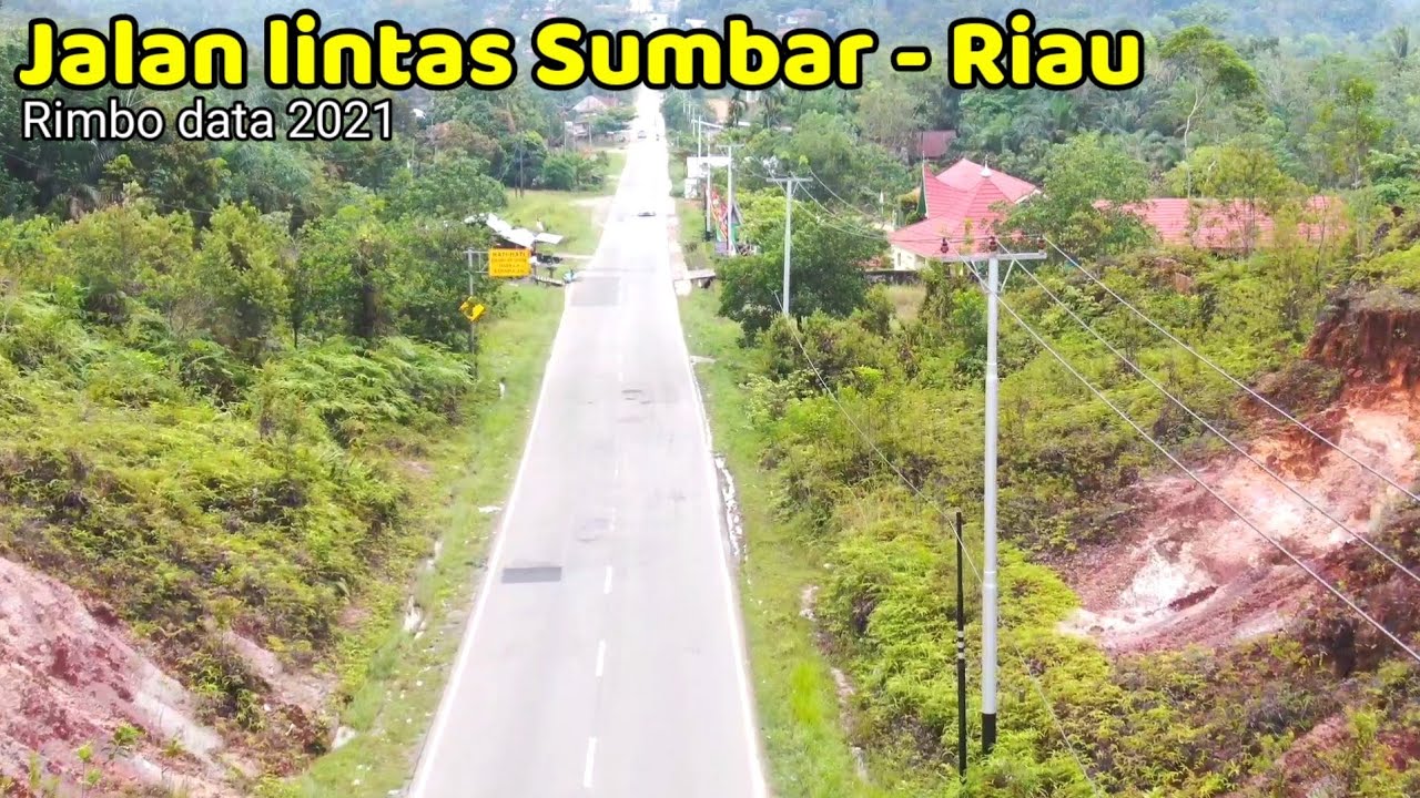 lintas sumbar riau - rimbo data