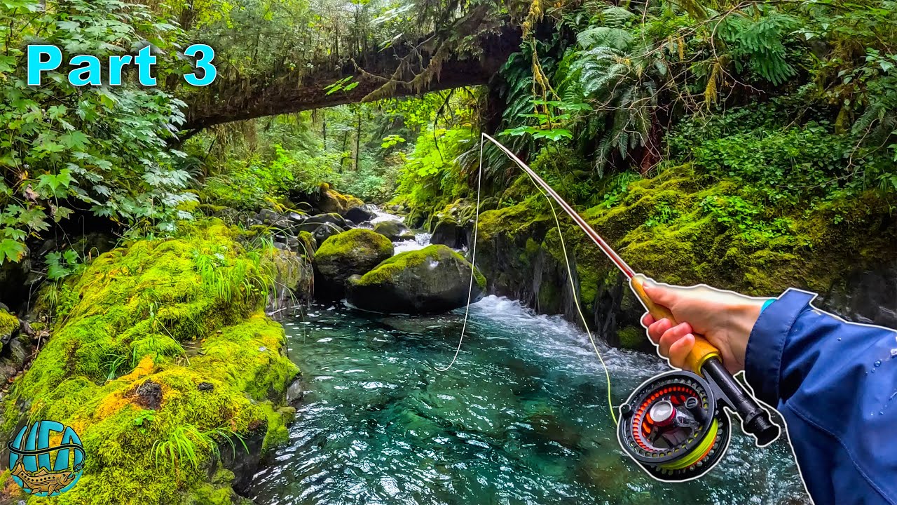 Fly Fishing some INSANE tiny creeks! (Trout Fishing Washington)