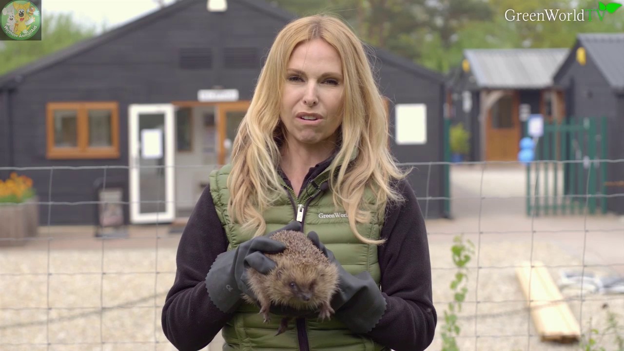 Wetnose Day Ambassador Anneka Svenska from Green WorldTV