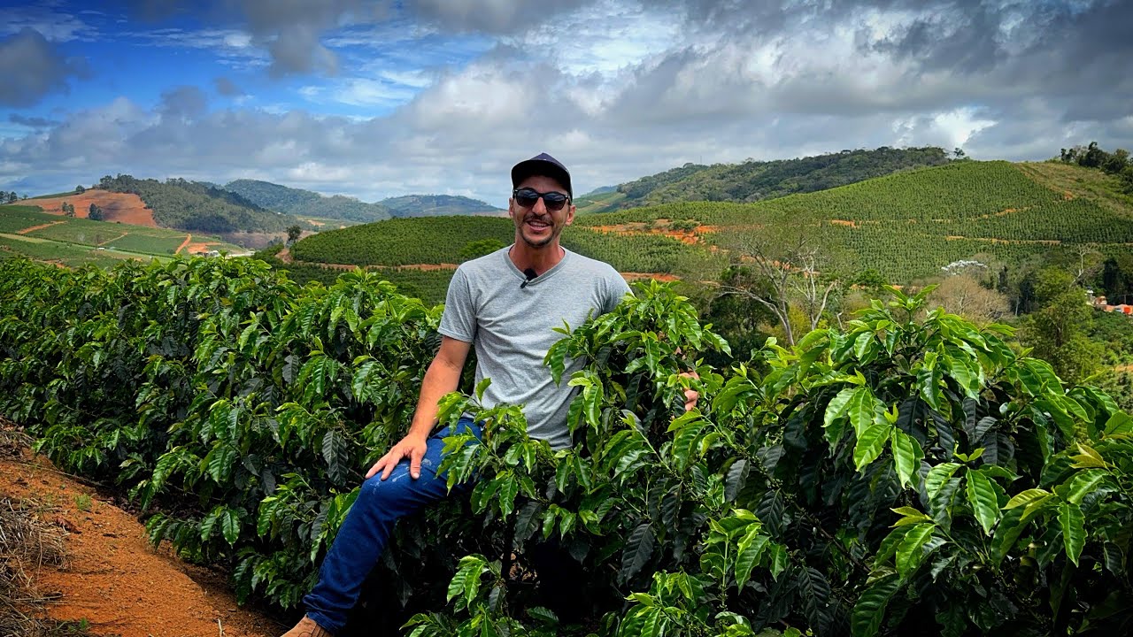 PLANEJAMENTO! O CAMINHO para ter SUCESSO na CAFEICULTURA 