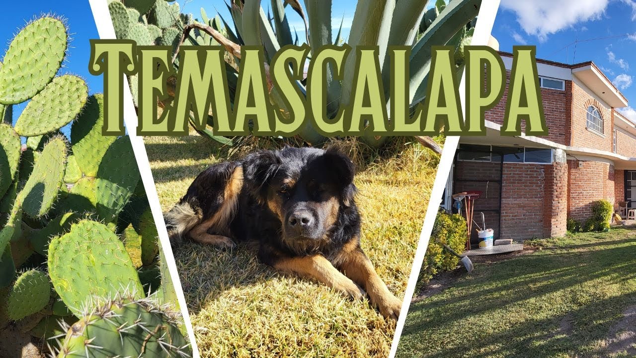 Temascalapa, México - Hillary is small town living near México City