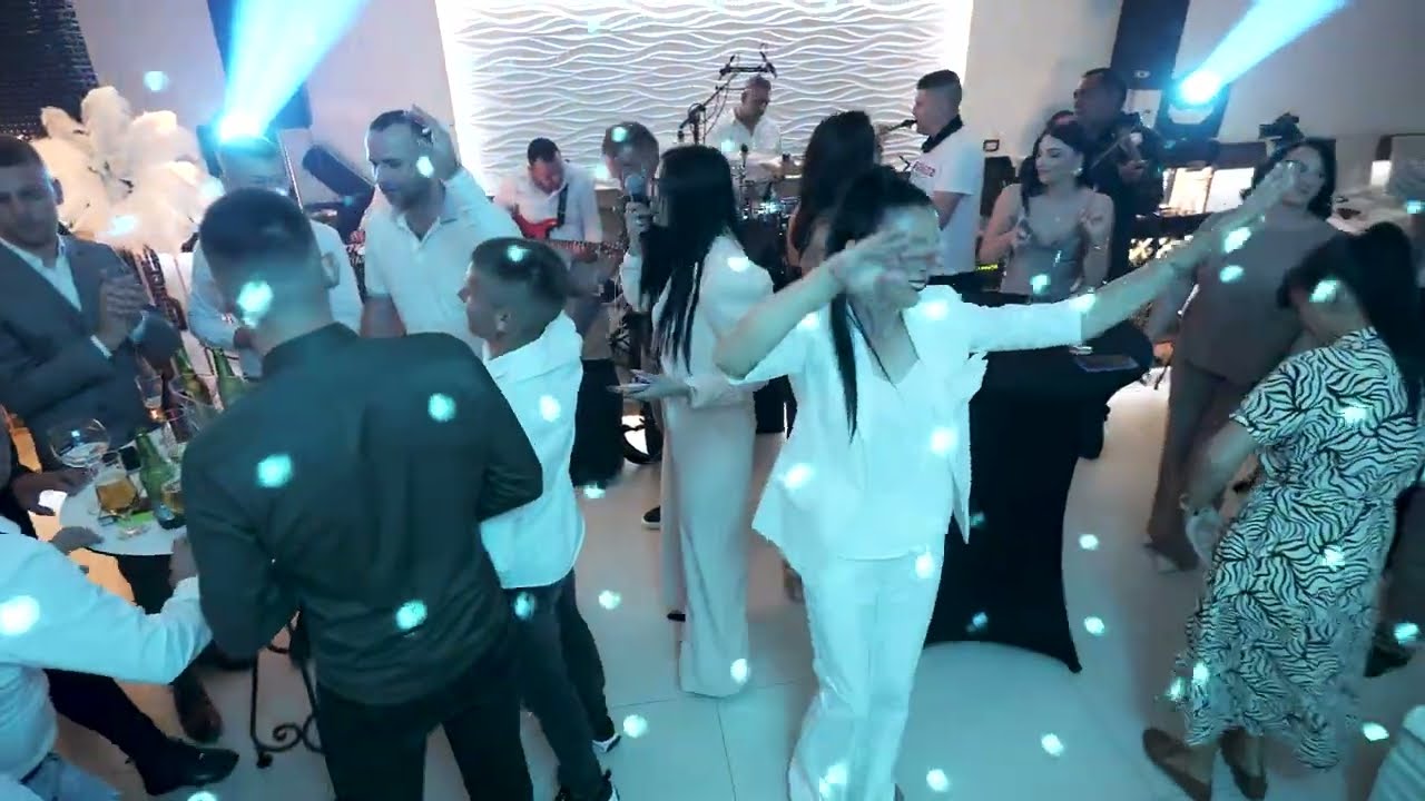 MIX U KRALJU I KRALJEVI VLADA STRASNI JARAN DILAS NIKOLIN 18. RODJENDAN VESELJE U PORODICI ALEKSIC
