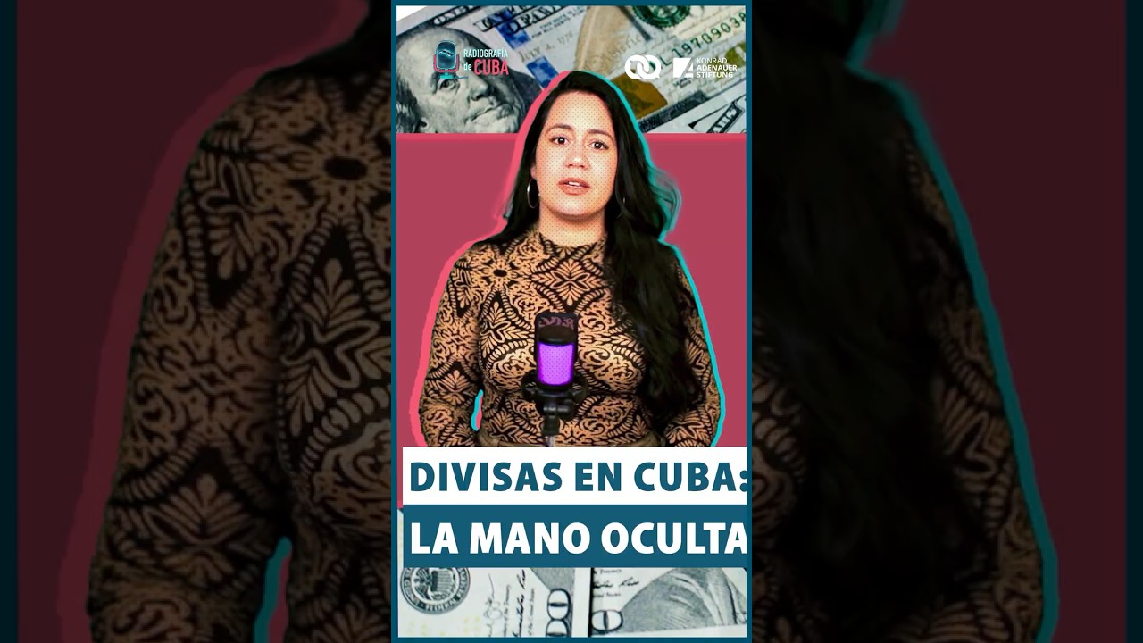 Remesas y divisas en Cuba: qui&eacute;n mueve tu dinero y c&oacute;mo lo controla el r&eacute;gimen cubano