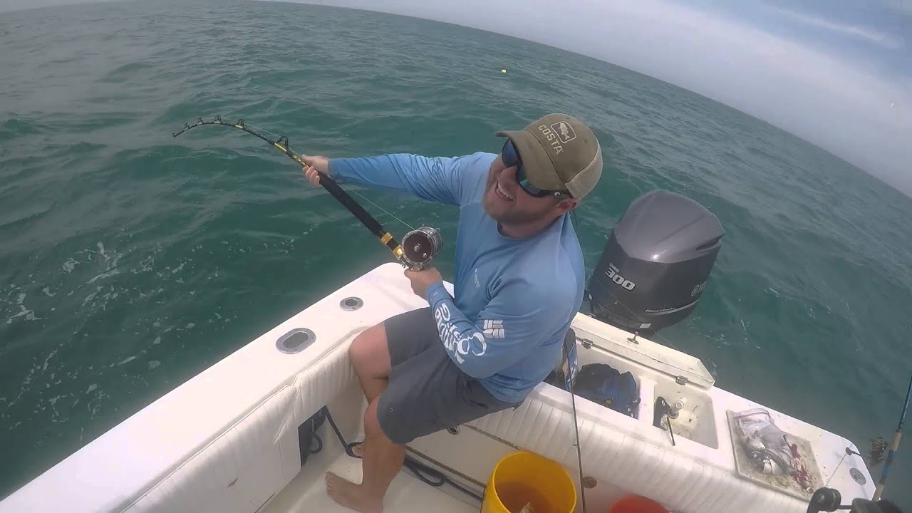 Jewfish 3/27/16 off St. Petersburg FL