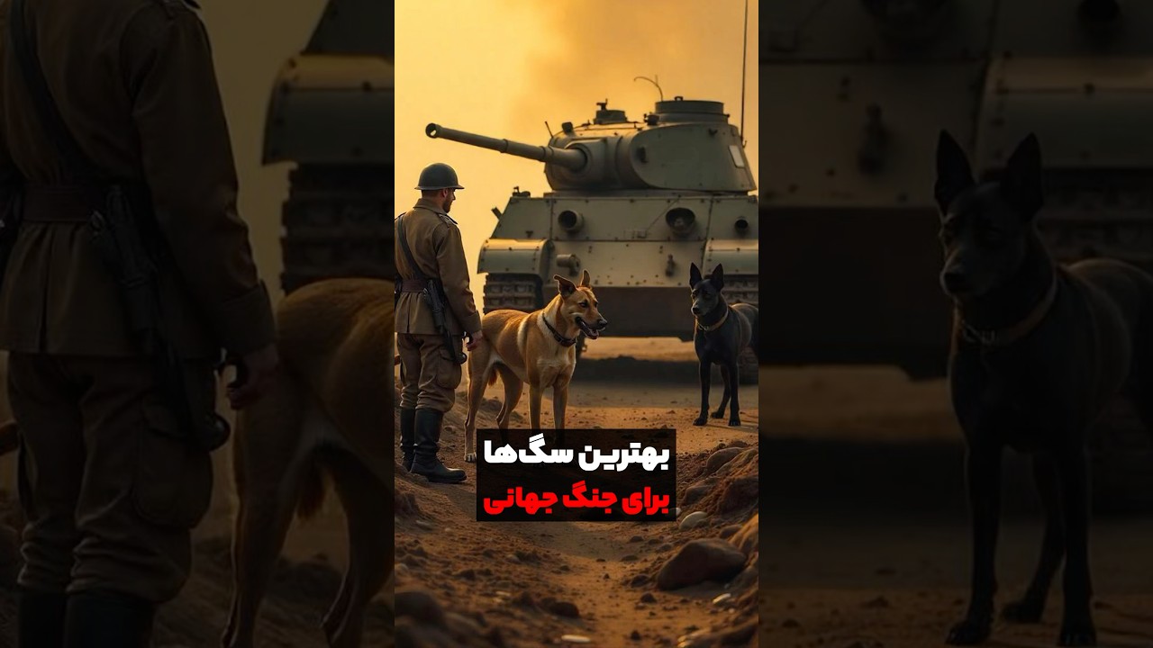 خشن ترین سگ های نظامی❌🔥#shorts