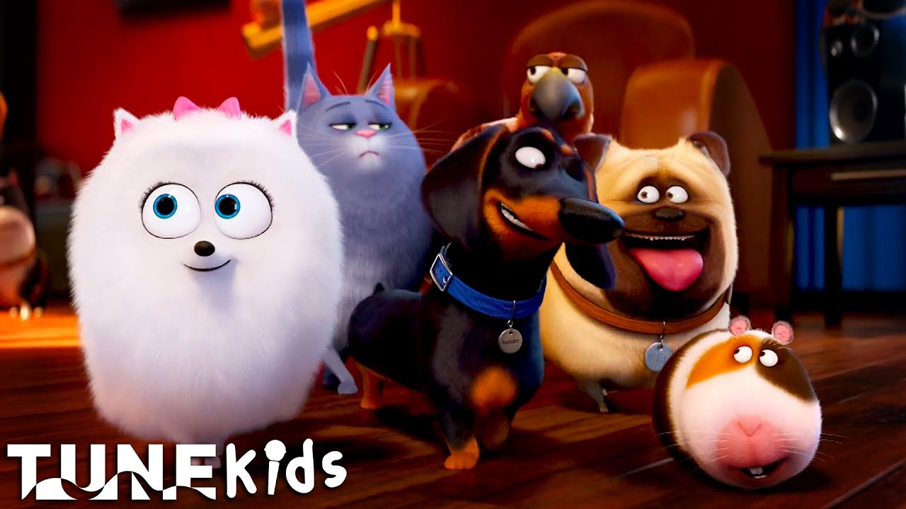 The Pets Have A House-Party (Good Day Scene) | The Secret Life Of Pets (2016) | TUNE: Kids