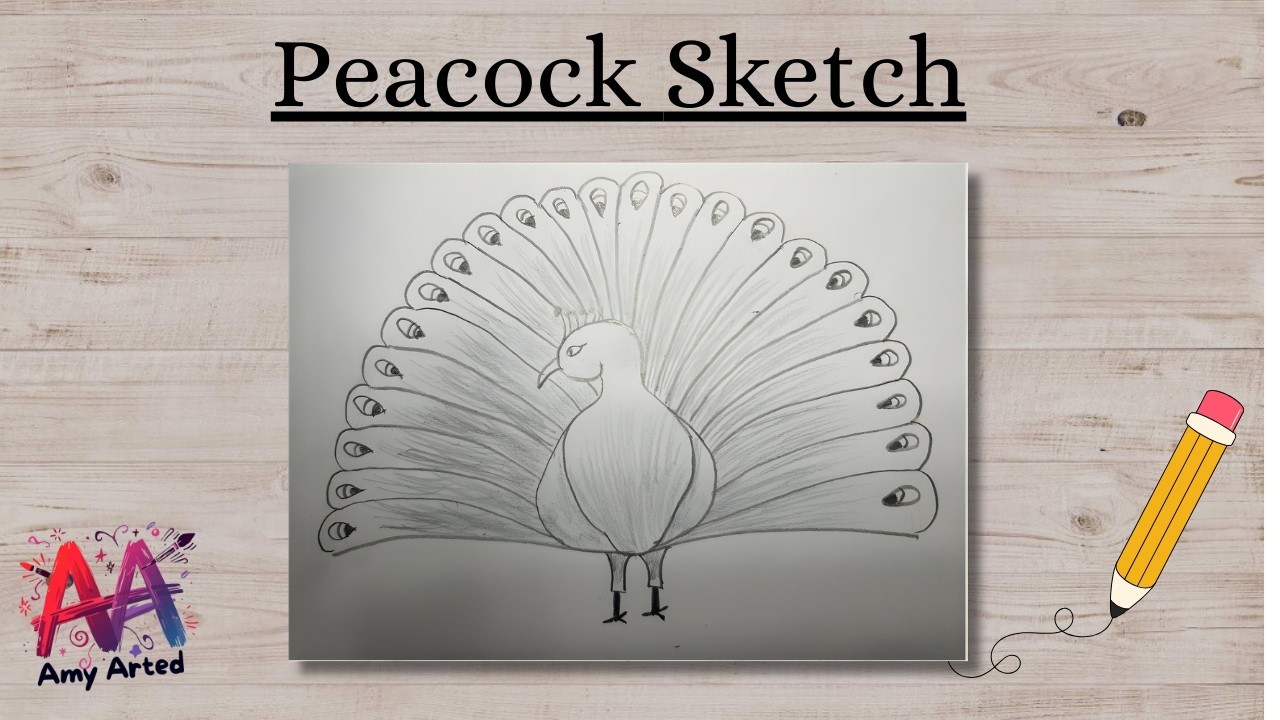 Easy Peacock Drawing Step by Step 🦚