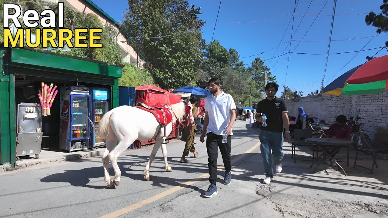 Murree Walking Tour 2026 🇵🇰 | Pakistan&rsquo;s Most Beautiful Hill Station in 4K