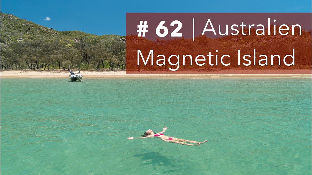 #62 | Australien | Wilde Koalas auf der Paradies-Insel Magnetic Island