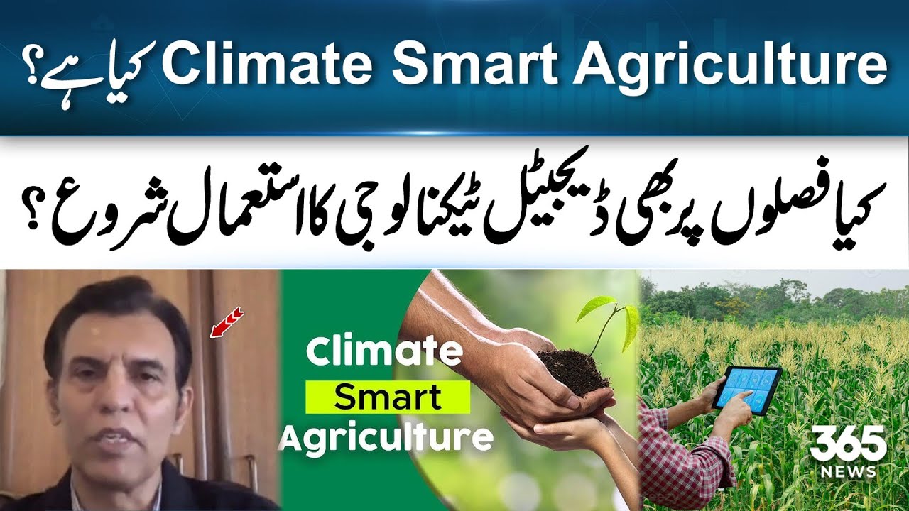 Abid Sulehri Defines The Term Climate Smart Agriculture | 365 Business
