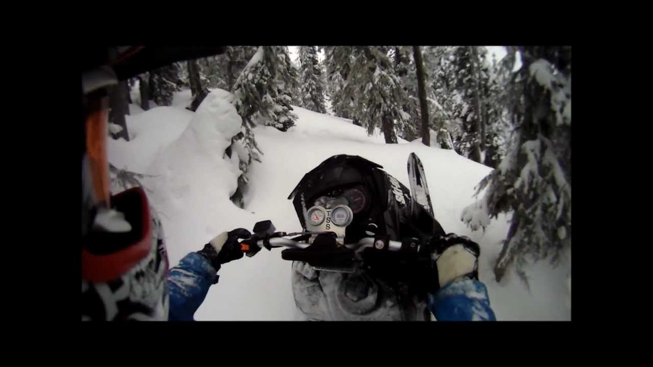 Chad Greziuk TSS turbo ski-doo XM Tree Riding in Castlegar