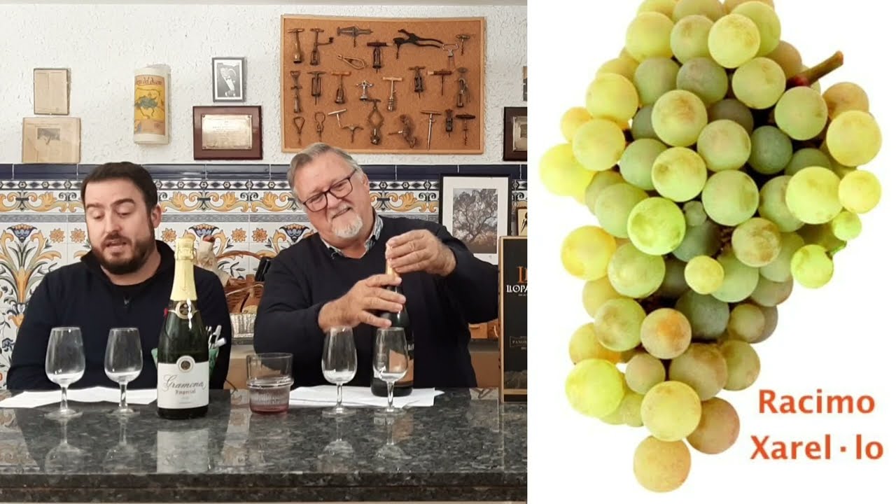 161 - ¿Sabes las diferencias entre Corpinnat, Clàssic Penedés y Cava?