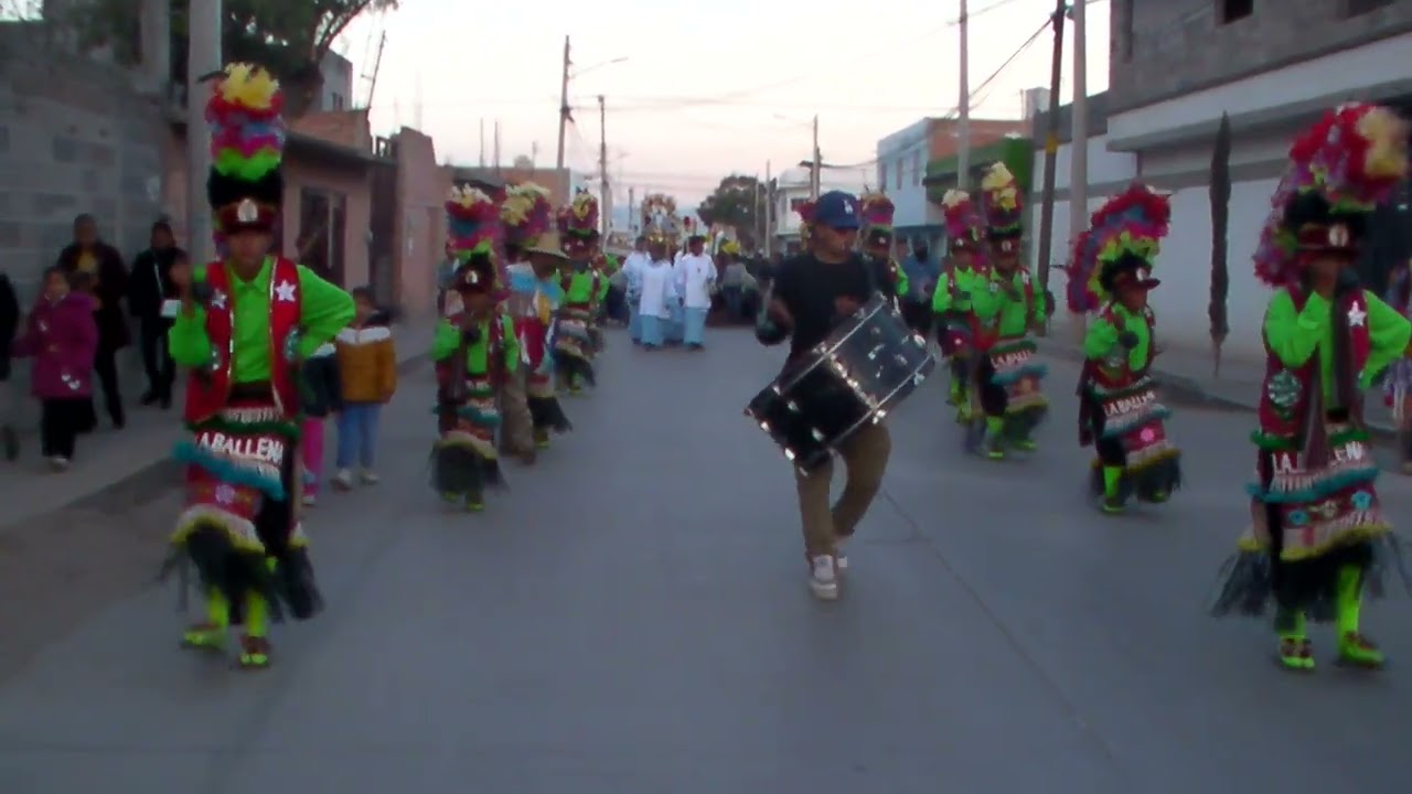 fiesta patronal col las flores san luis potosi