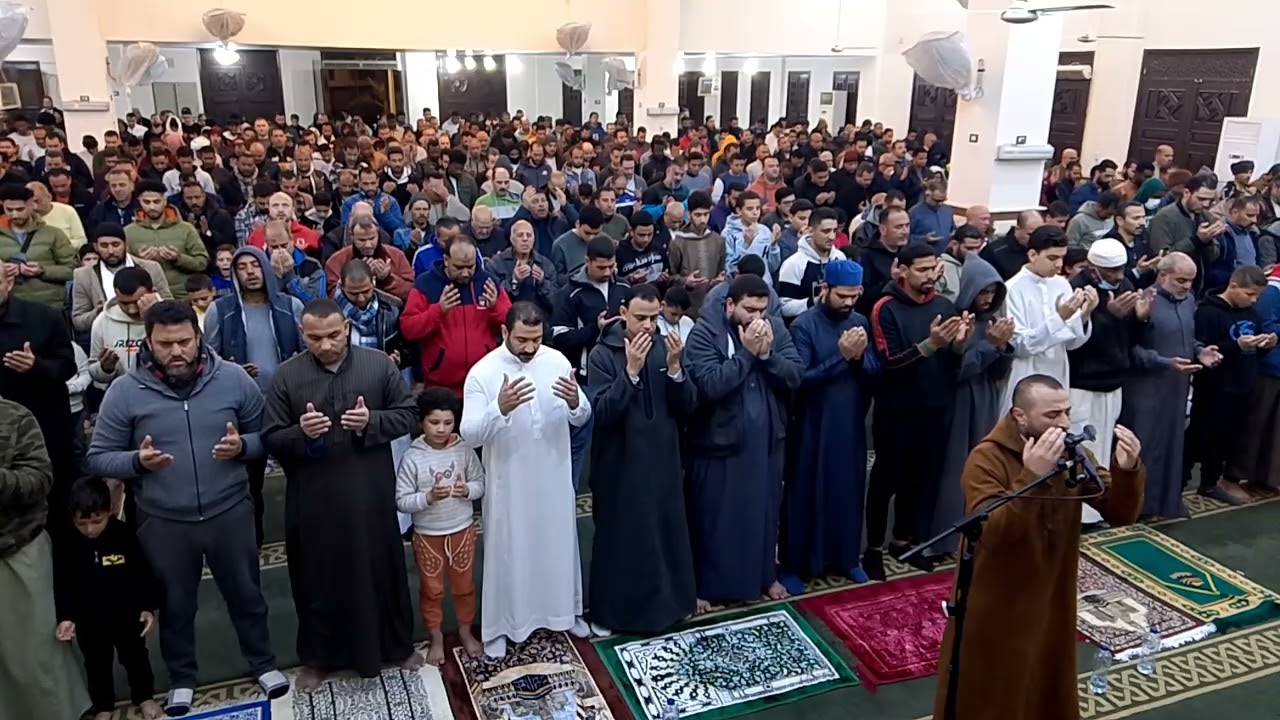 دعاء التراويح | رمضان 1446ه‍ | القارئ الشيخ محمود سلمان 