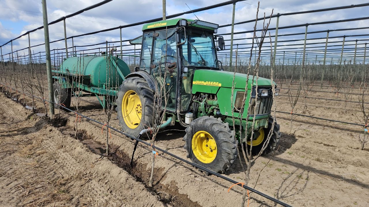 Nowe nasadzenia grusz w sadzie Michała Kota. Jak radzić sobie ze zmęczeniem gleby?