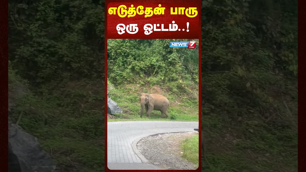 எடுத்தேன் பாரு ஒரு ஓட்டம்..! | NEWS7 TAMIL