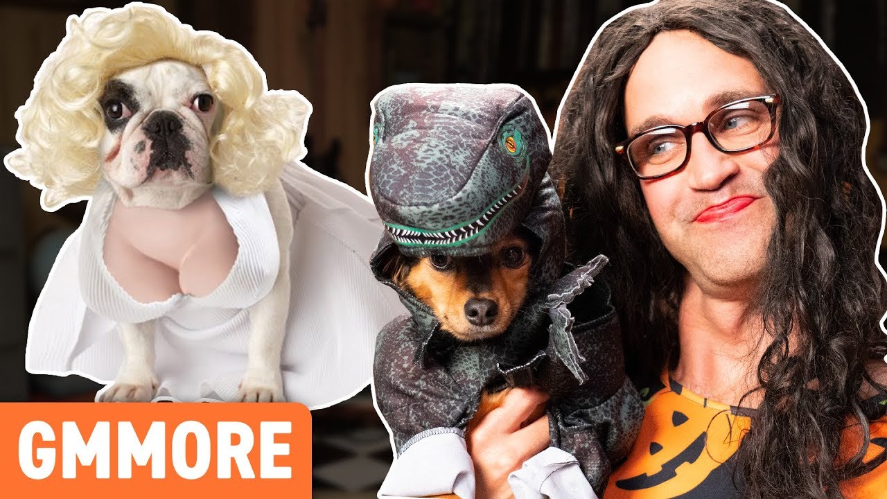 Cutest Dog Halloween Costumes