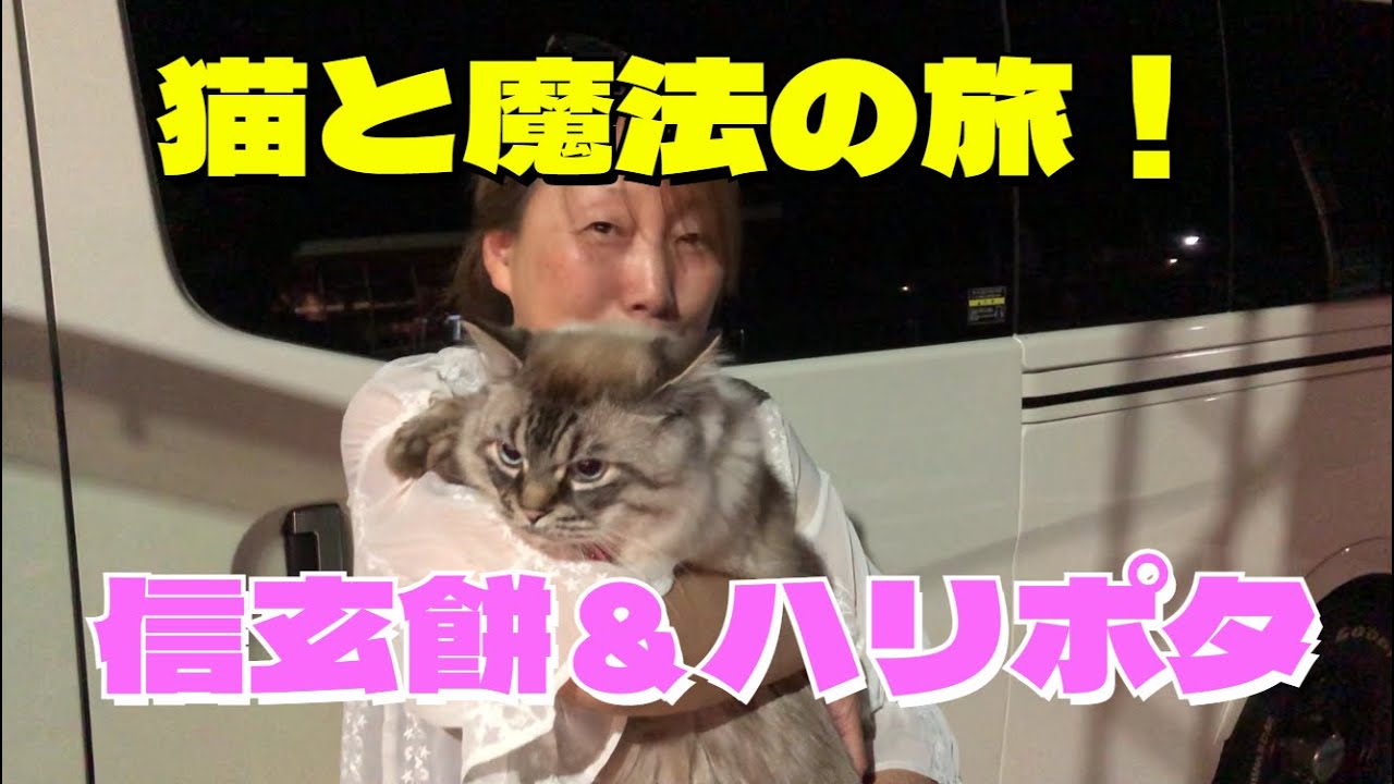 【猫と車中泊旅】信玄餅＆ハリーポッターの世界へ！諏訪湖から東京・佐野ＳＡの旅