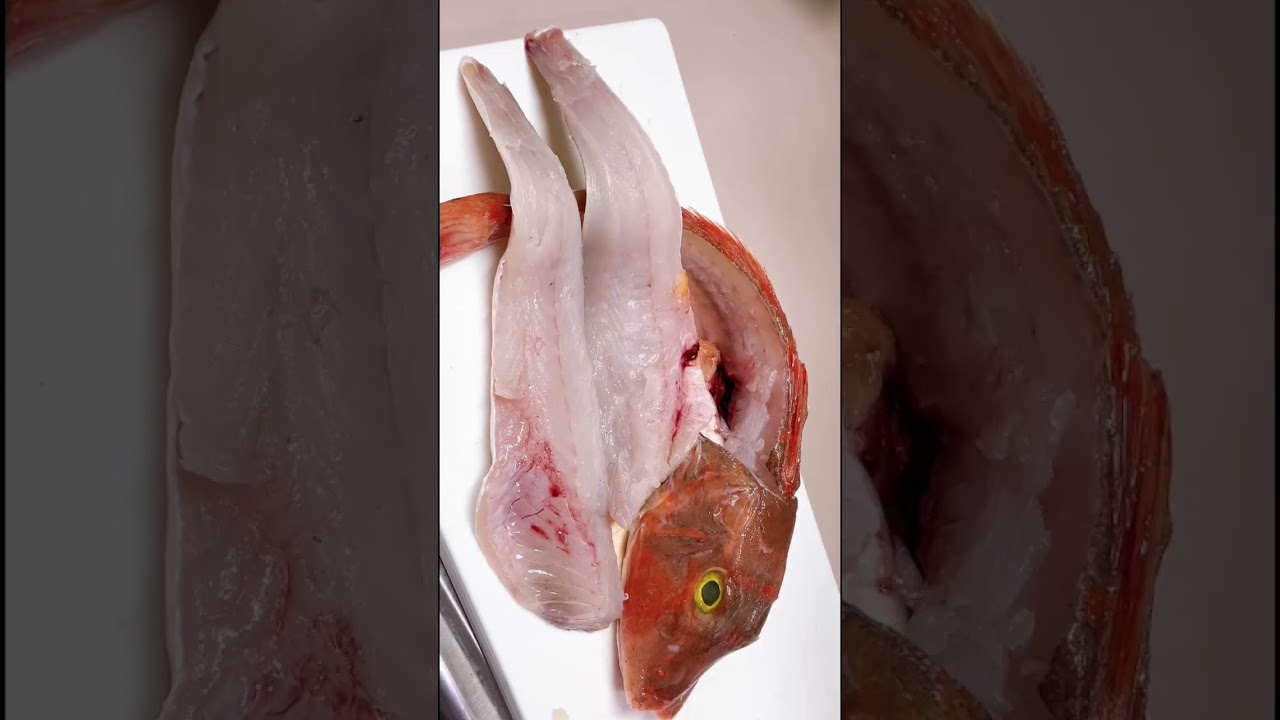 Cutting gurnard fish(houbou)for #sashimi #short