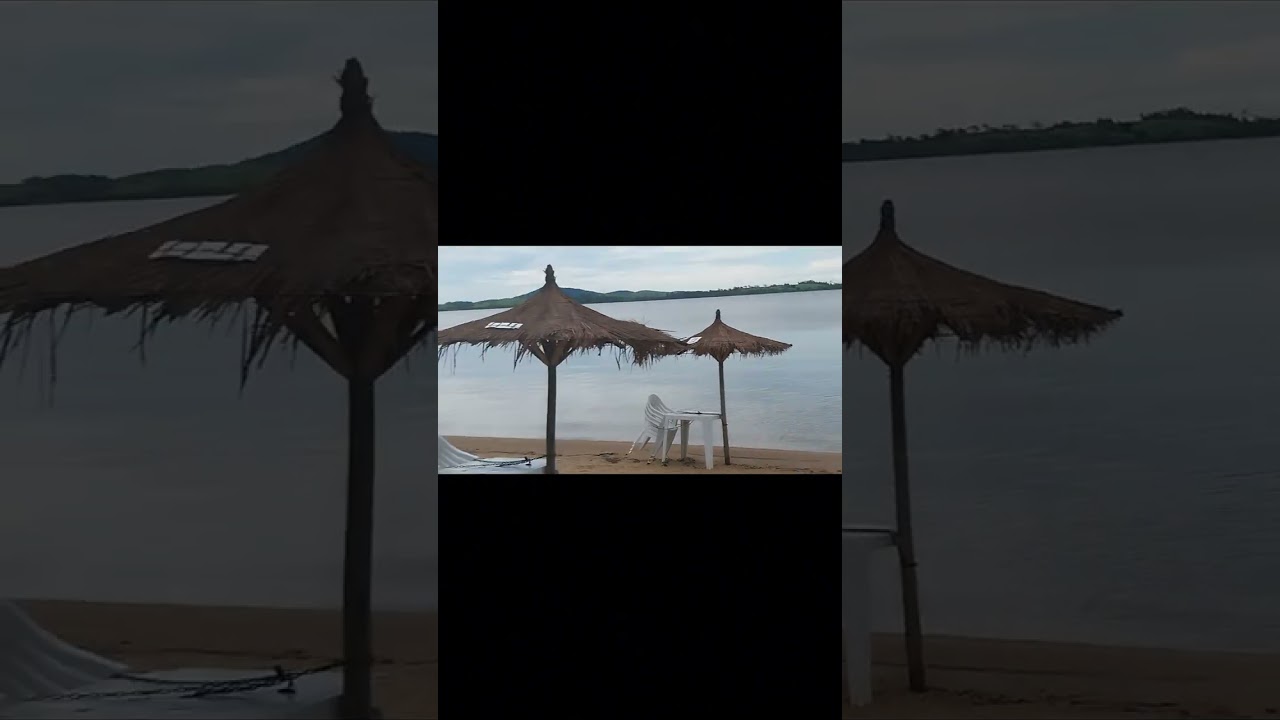 Uma tarde de temporal e uma manhã com árvores caída na casinha do laguinho